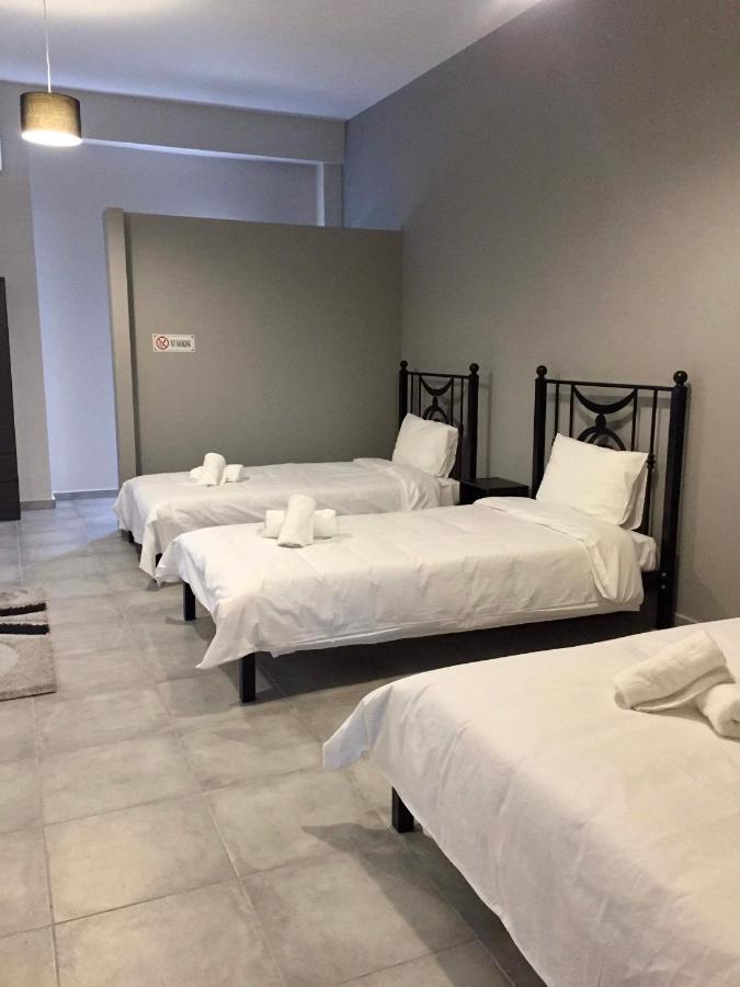 Meteora House- Cozy Living Apartment กาลัมปากา ภายนอก รูปภาพ